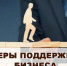 Для предпринимателей пройдет онлайн-брифинг на тему: «Бизнес в новых условиях: особенности работы и меры поддержки» - Колышлейский район