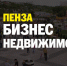 Пензенским предпринимателям расскажут о возможностях льготной аренды недвижимости для бизнеса - Колышлейский район