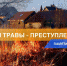 Единственным эффективным способом борьбы с травяными палами являются их предотвращение, а также грамотность и сознательность граждан - Колышлейский район