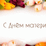 Поздравление Главы Колышлейского района с Днем матери! - Колышлейский район