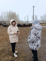 Мониторинг работы крестьянских (фермерских) хозяйств