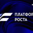 Комплексная программа поддержки предпринимателей «Платформа роста» - Колышлейский район