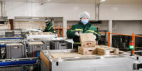 «Дамате» увеличила производство продукции глубокой переработки индейки на 21% в 2025 году - Колышлейский район