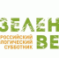 Экологический  субботник «Зеленая Весна» - Колышлейский район